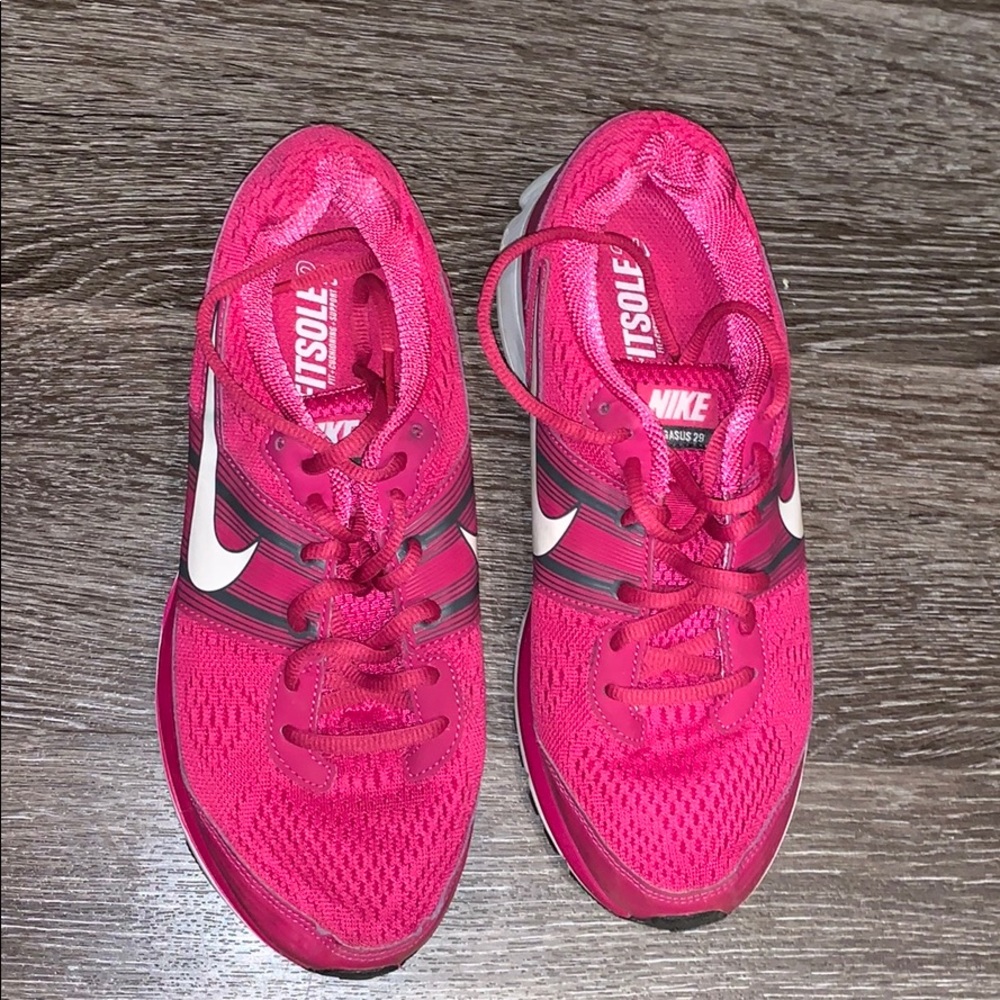 Nike Pegasus 29 shoes